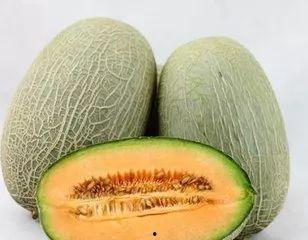 智恩吃哈密瓜完整视频,甜蜜滋味与生活小确幸