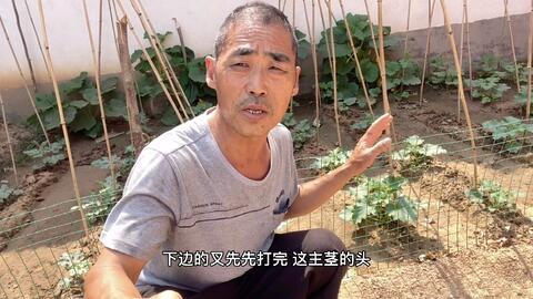 刘南宅二楼吃瓜视频,揭秘娱乐圈幕后故事