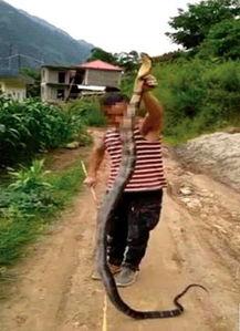 云南边境村民吃瓜事件视频,边境风情下的生活瞬间