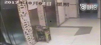 吃瓜群众坐电梯视频,吃瓜群众意外目睹惊险一幕
