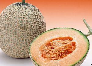 蝴蝶吃哈密瓜视频播放,一场甜蜜的视觉盛宴