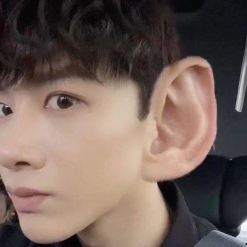 表情包沙雕吃瓜视频