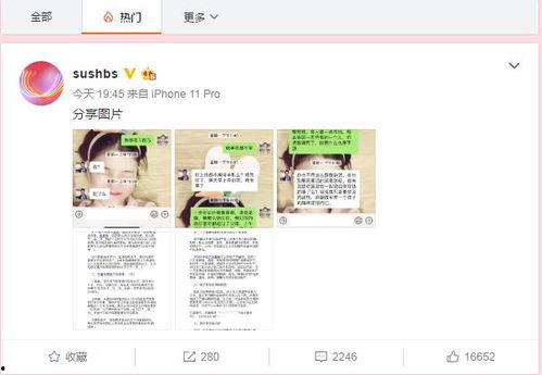 东营吃瓜新闻视频播放下载,视频播放下载热潮背后的故事