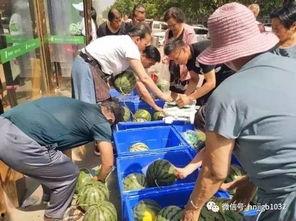 文安幼儿园吃瓜事件视频,真相揭秘与反思