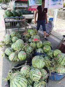 潍坊广饶吃瓜事件视频,一场引发热议的网络视频风波