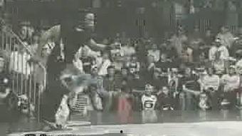 吃瓜王子翻车视频,一场网络狂欢的落幕