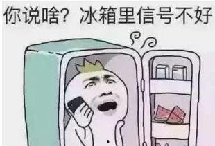 带你吃瓜的天热视频素材,天热视频素材大放送