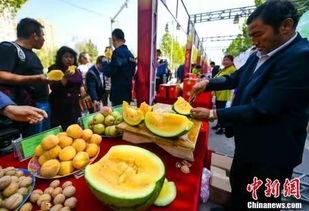 中国人吃瓜缅甸视频播放,中国网友热议