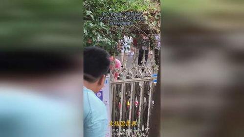 带你吃瓜吃席现场视频,带你一睹“吃瓜吃席”狂欢盛况