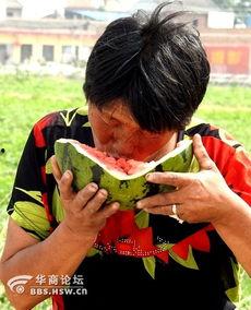 老太太吃瓜视频,老太太的欢乐吃瓜日常