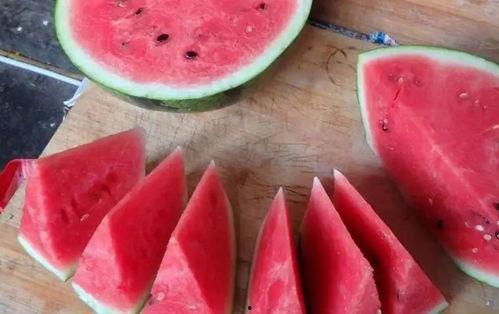 一口吃小瓜的视频大全,趣味视频大全，欢乐无限