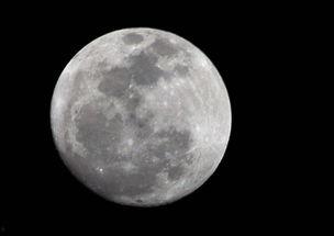 拍月亮吃瓜视频是真的吗,真相还是炒作？