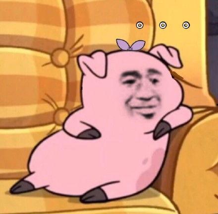 猪猪搞笑视频带你吃瓜,带你笑出“吃瓜”新境界