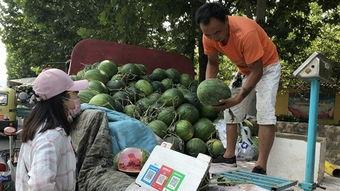 济宁太白湖吃瓜事件视频,网友热议事件真相