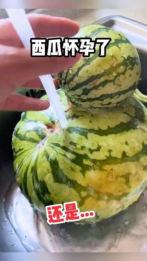 带你吃瓜搞笑视频二年级,搞笑吃瓜视频大揭秘