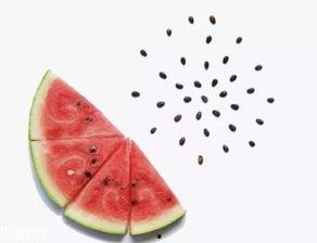 吃瓜不吐籽拍摄视频