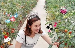 甜甜的吃瓜视频,揭秘娱乐圈幕后故事