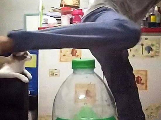 吃瓜女人吵架视频播放