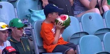 吃瓜群众被摔西瓜视频,现场画面曝光